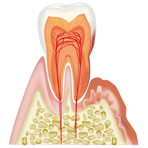 real-teeth006